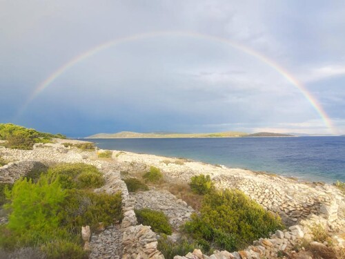 Thumbnail 5382693 - 5