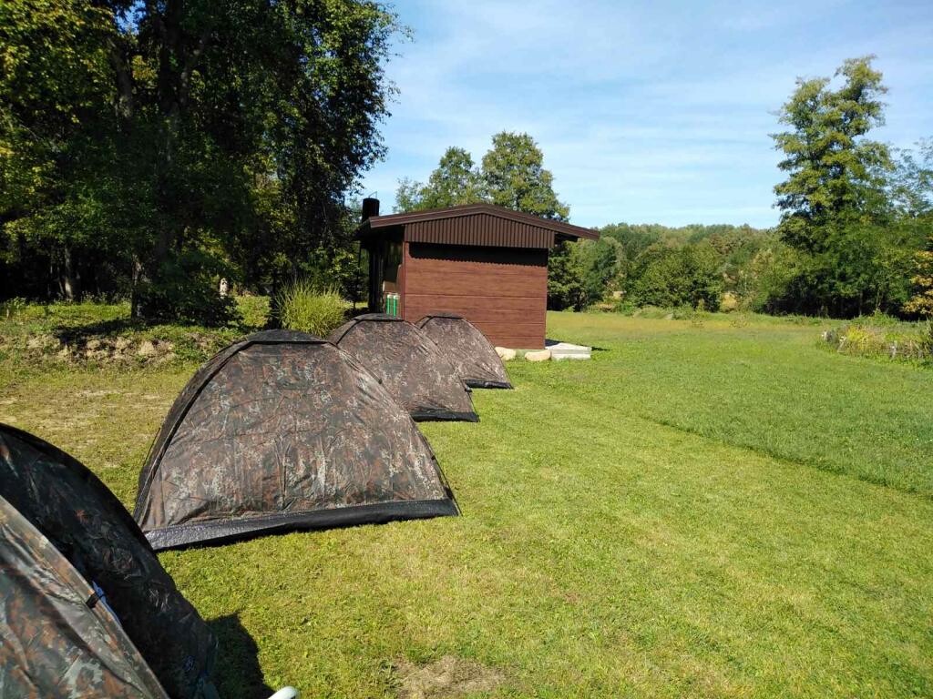 Image 5382698 - 11