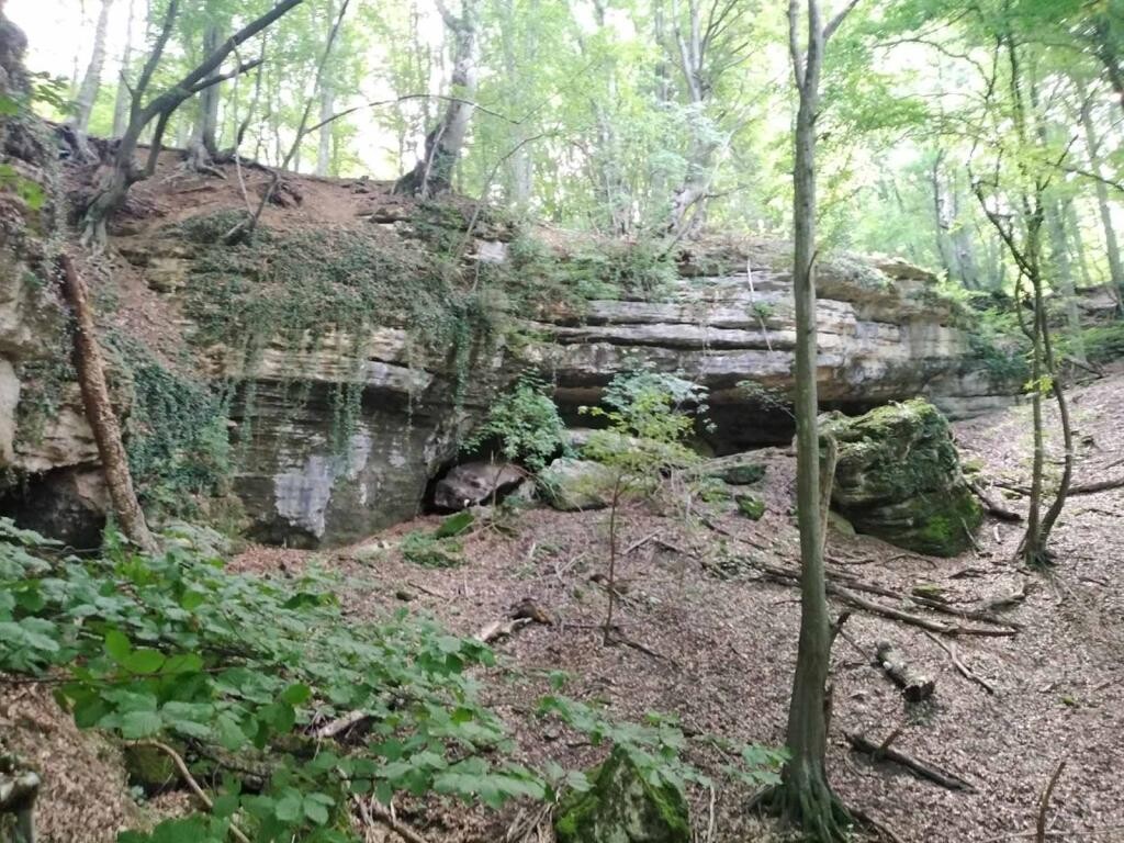Image 5382698 - 13