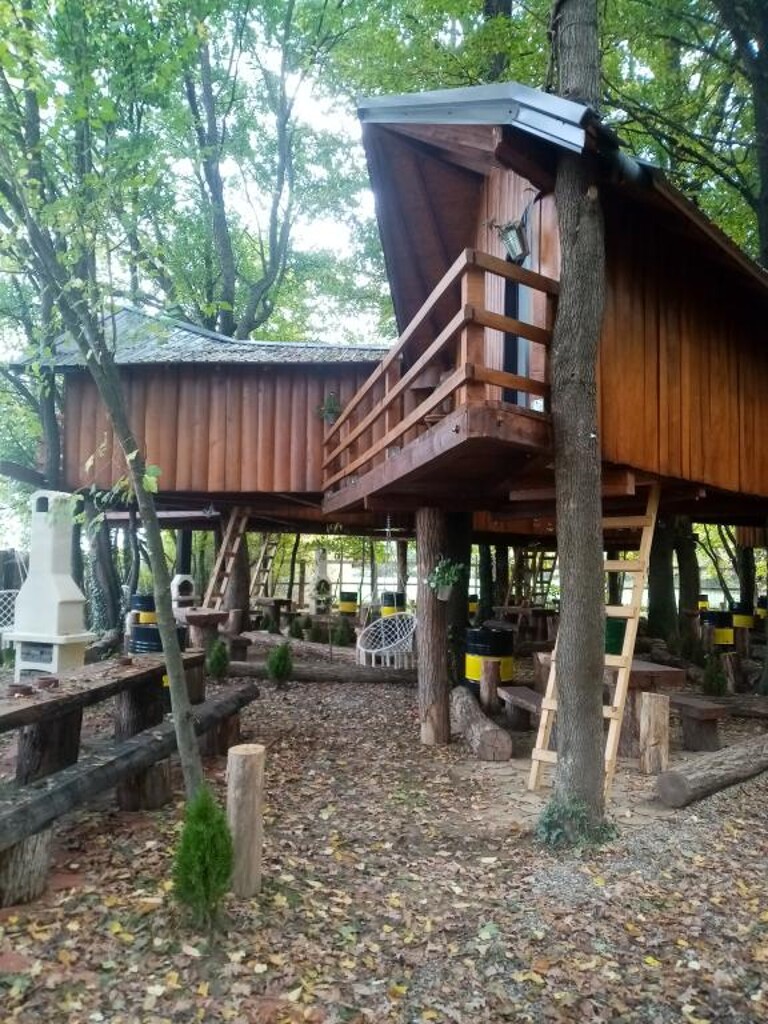 Image 5382699 - 3