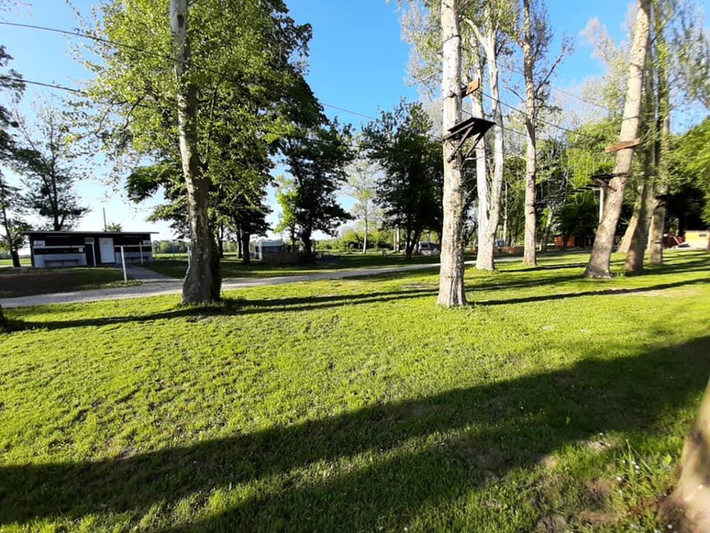 Image 5382701 - 16