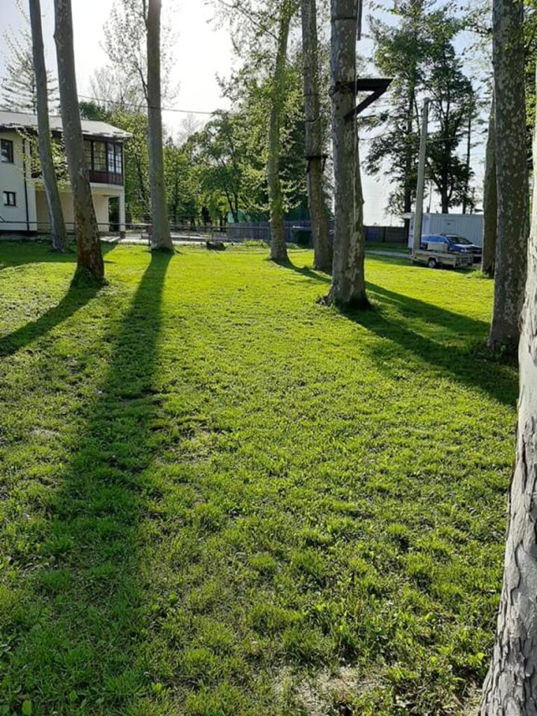 Image 5382701 - 12