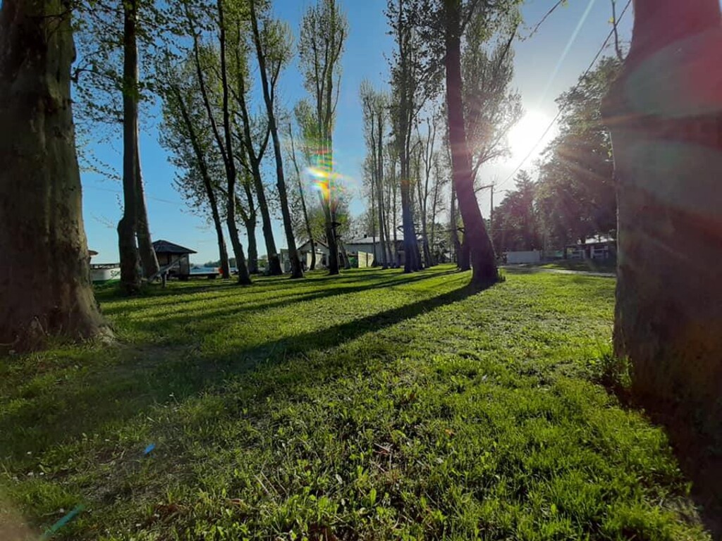 Image 5382701 - 14