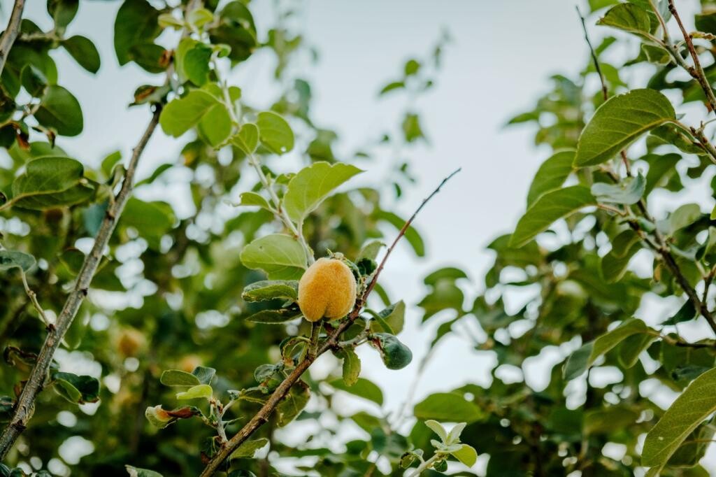 Image 5382703 - 13