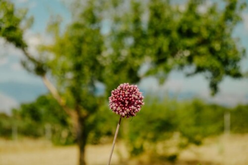 Thumbnail 5382703 - 12