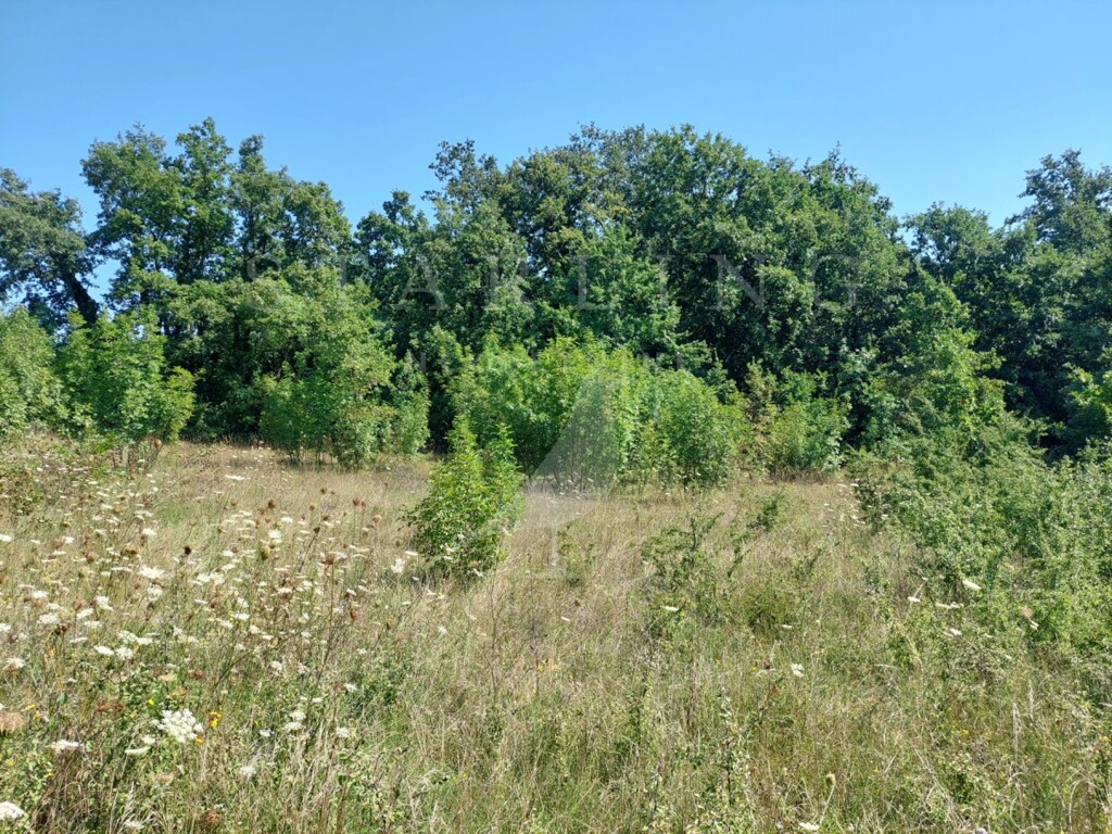 Image 5384854 - 1