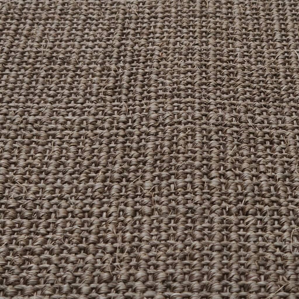 Image 5385409 - 3