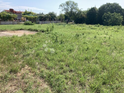 Thumbnail 5389683 - 1