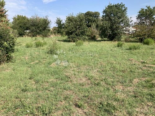 Thumbnail 5389683 - 4