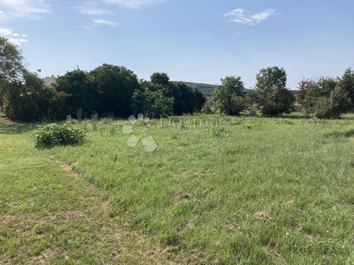 Thumbnail 5389683 - 6