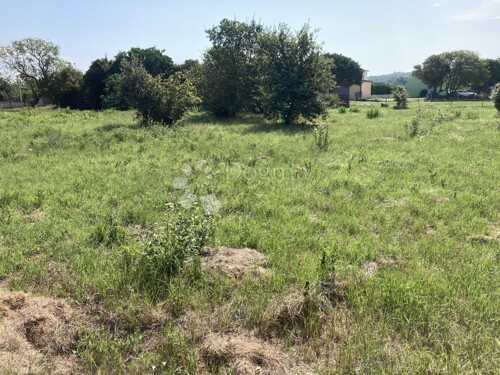 Thumbnail 5389683 - 3