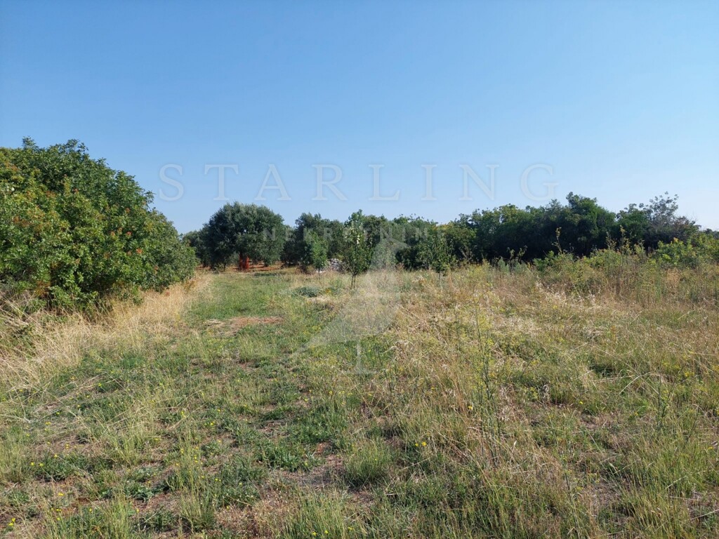 Image 5393175 - 6