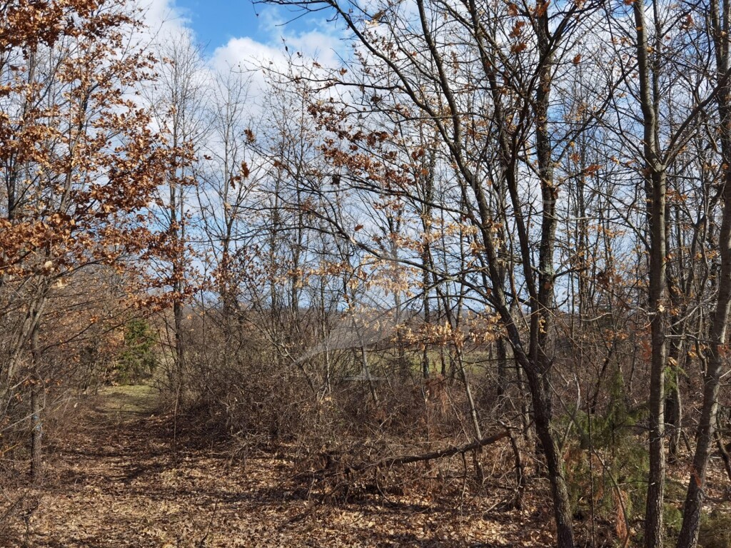 Image 5393176 - 3