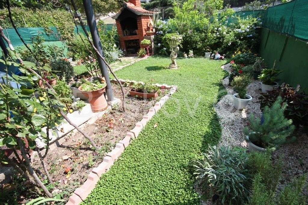 Image 5393240 - 13