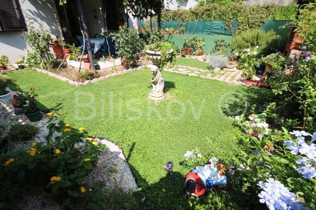 Image 5393240 - 12