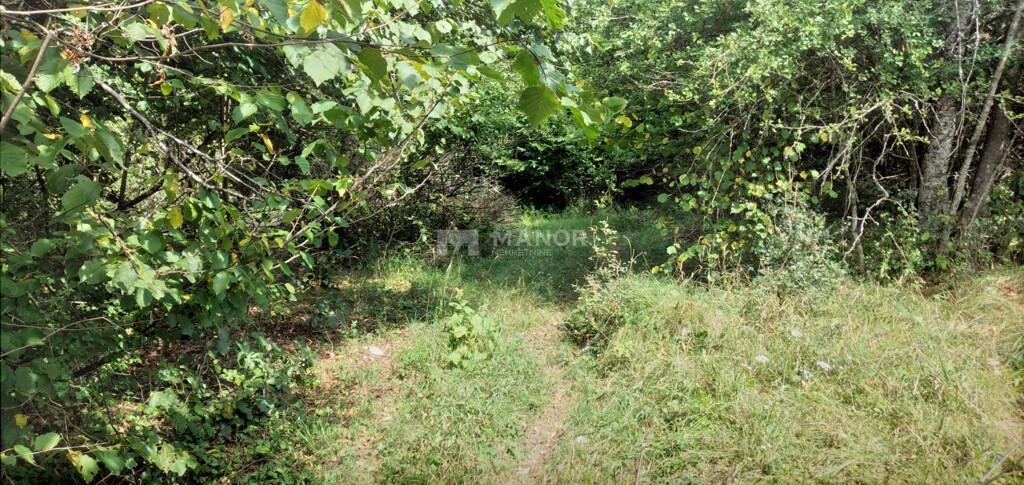 Image 5395621 - 21