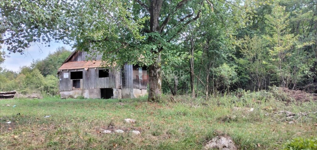 Image 5395621 - 12