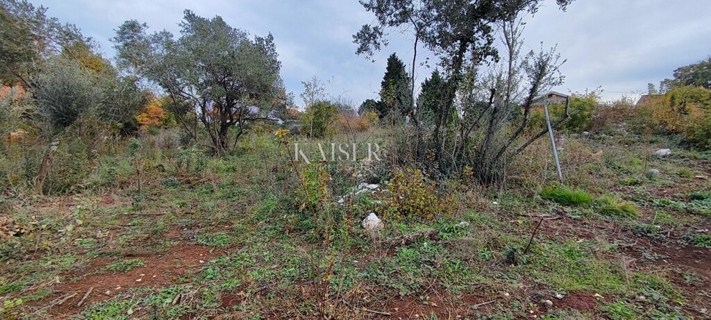 Image 5400014 - 4
