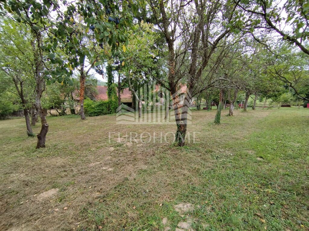 Image 5401920 - 13