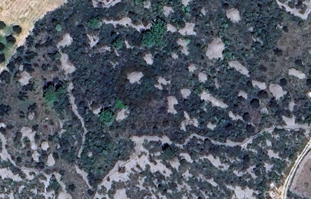 Image 5402109 - 3