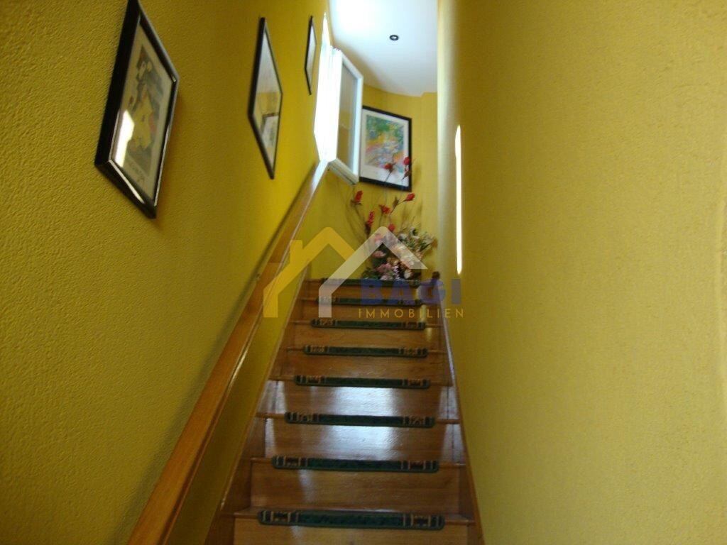 Image 5404007 - 13