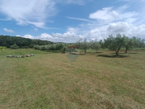 Istra, Rovinj,kuća s ugostiteljskim objektom na idiličnoj lo