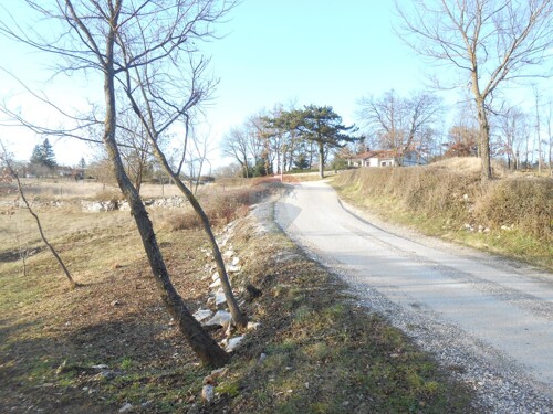 Istra, okolica Pazina, Lindar, veliko poljoprivredno zemljiš