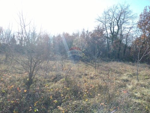SALAMBATI, ISTRA, POLJOPRIVREDNI TEREN 2914m2, PRODAJA