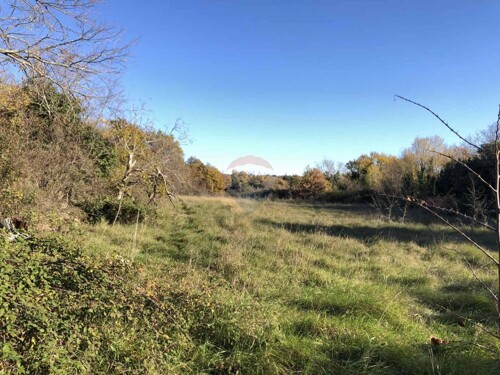 Istra, Kastelir- Poljoprivredno zemljiste sa pristupnim puto