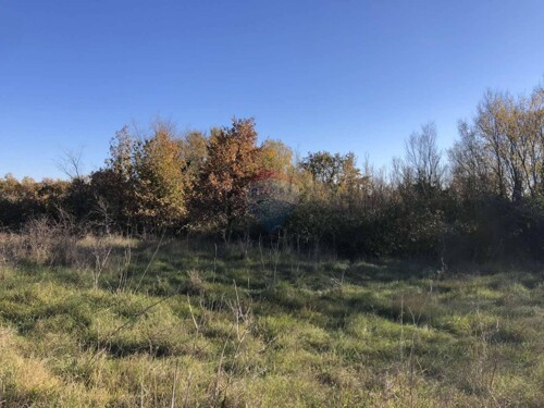 Istra, Kastelir- Poljoprivredno zemljiste sa pristupnim puto