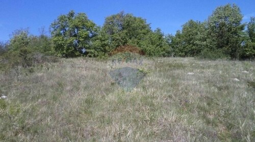 Istra, POVOLJNO, poljoprivredno zemljište