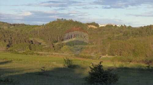 Istra, poljoprivredno zemljište