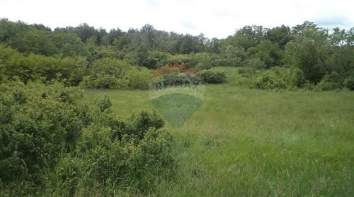 Istra, poljoprivredna zemlja, okolica Karojbe