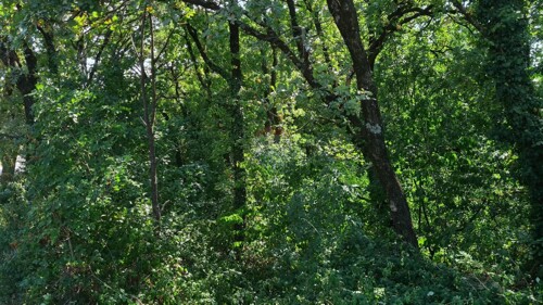 Matulji- građevinski teren površine 1656 m2