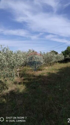 Istra,Rakalj,građevinsko zemljište u naselju