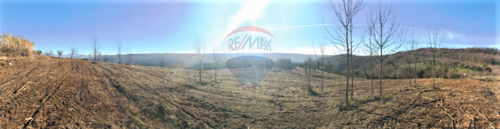 Thumbnail 5409717 - 24