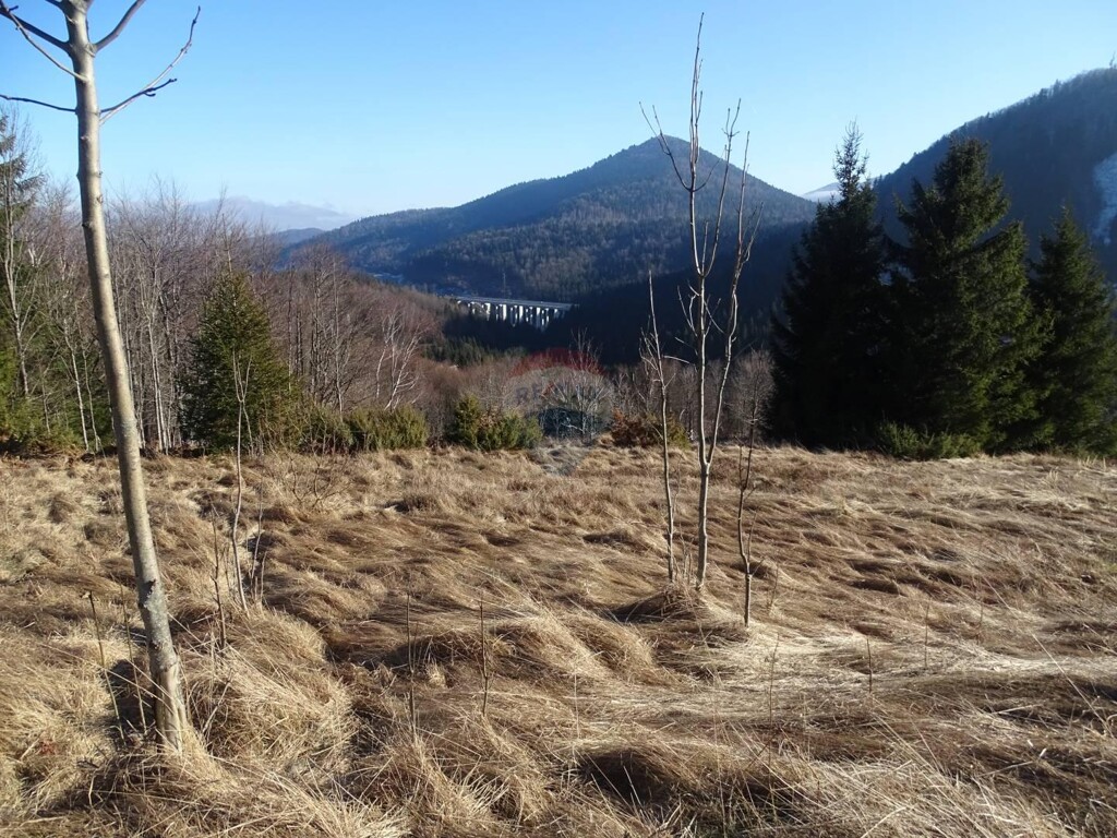 Image 5409721 - 4