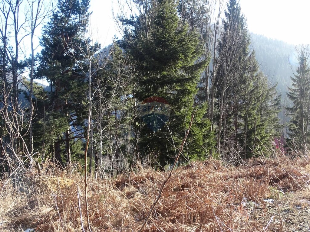 Image 5409721 - 9