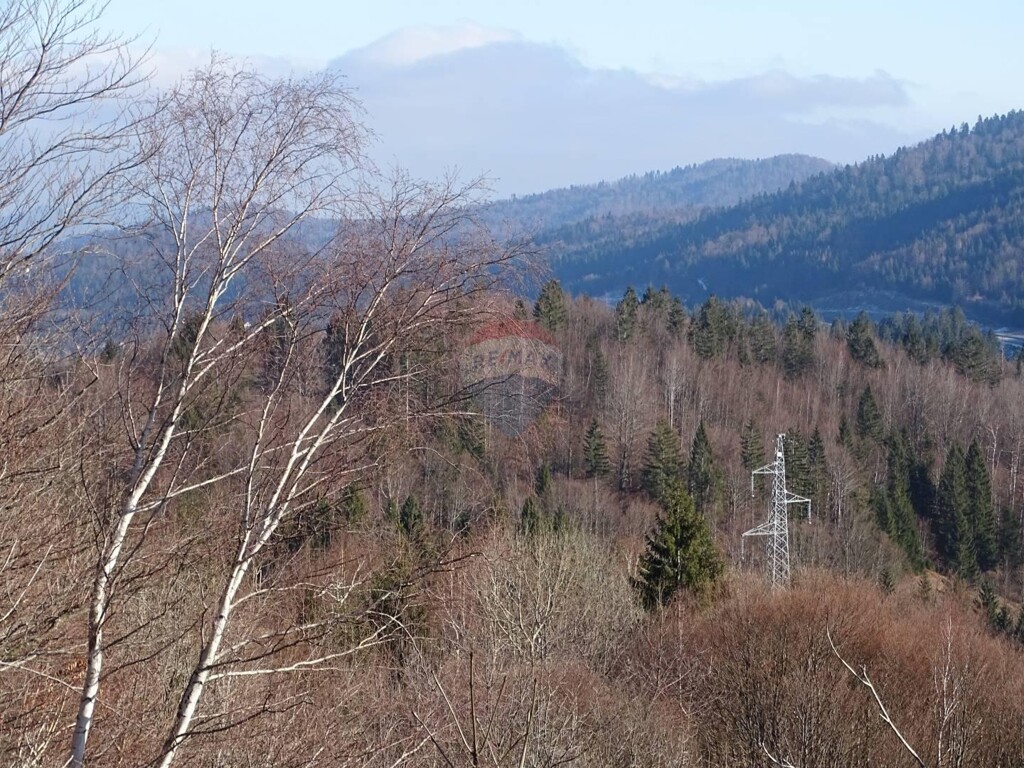 Image 5409721 - 2