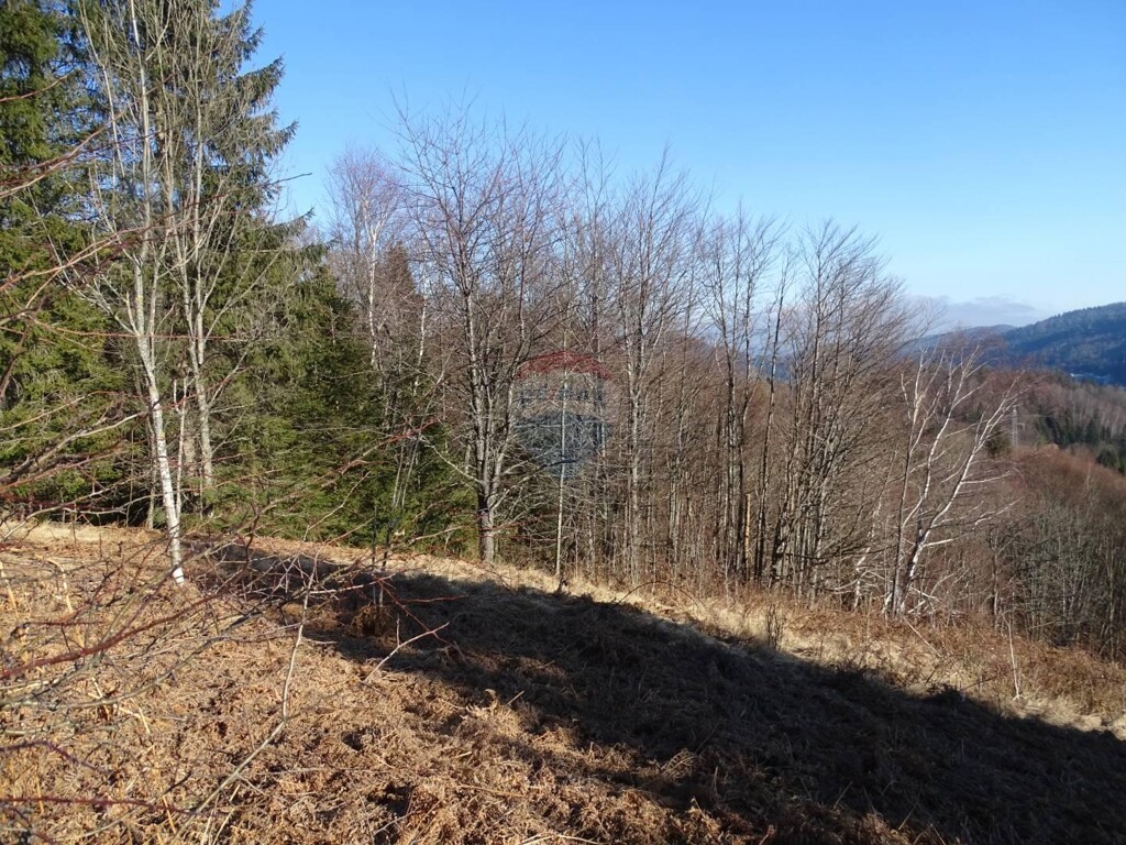 Image 5409721 - 5