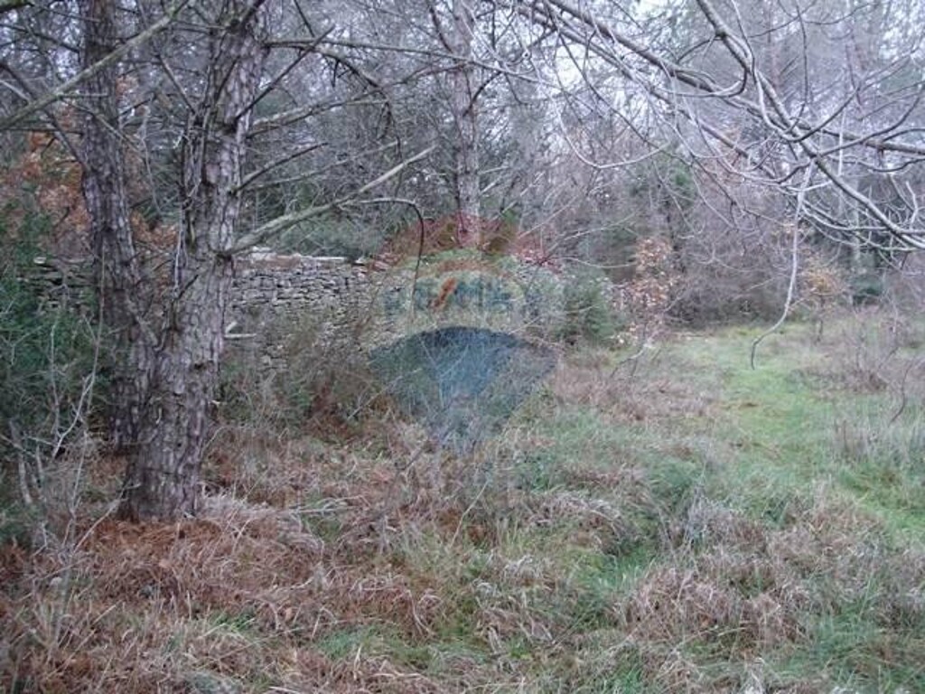 Image 5409727 - 1