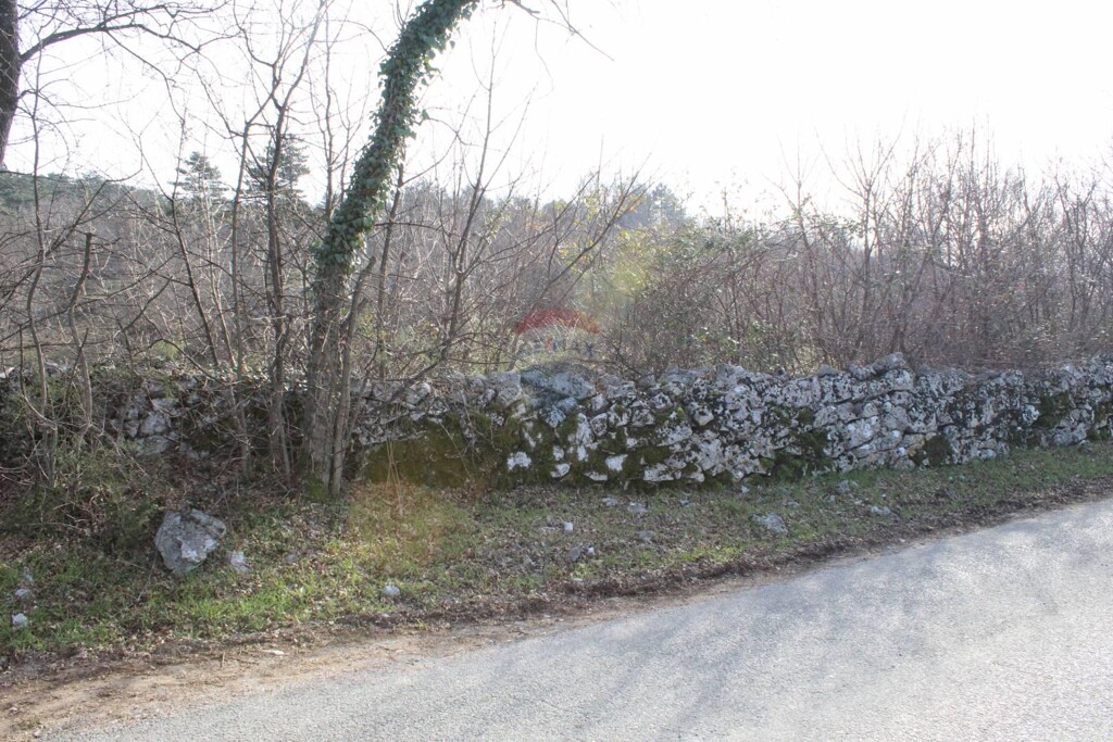 Image 5409746 - 3