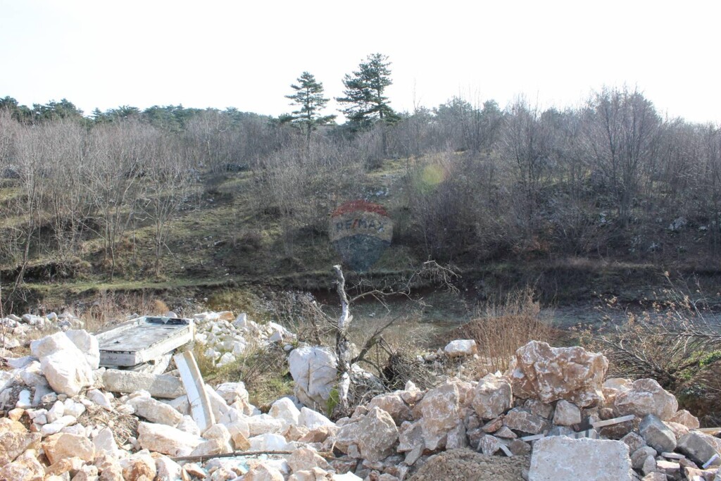 Image 5409746 - 5