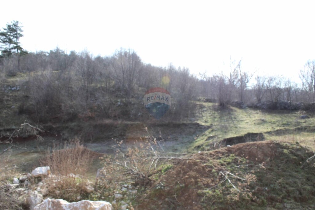 Image 5409746 - 7
