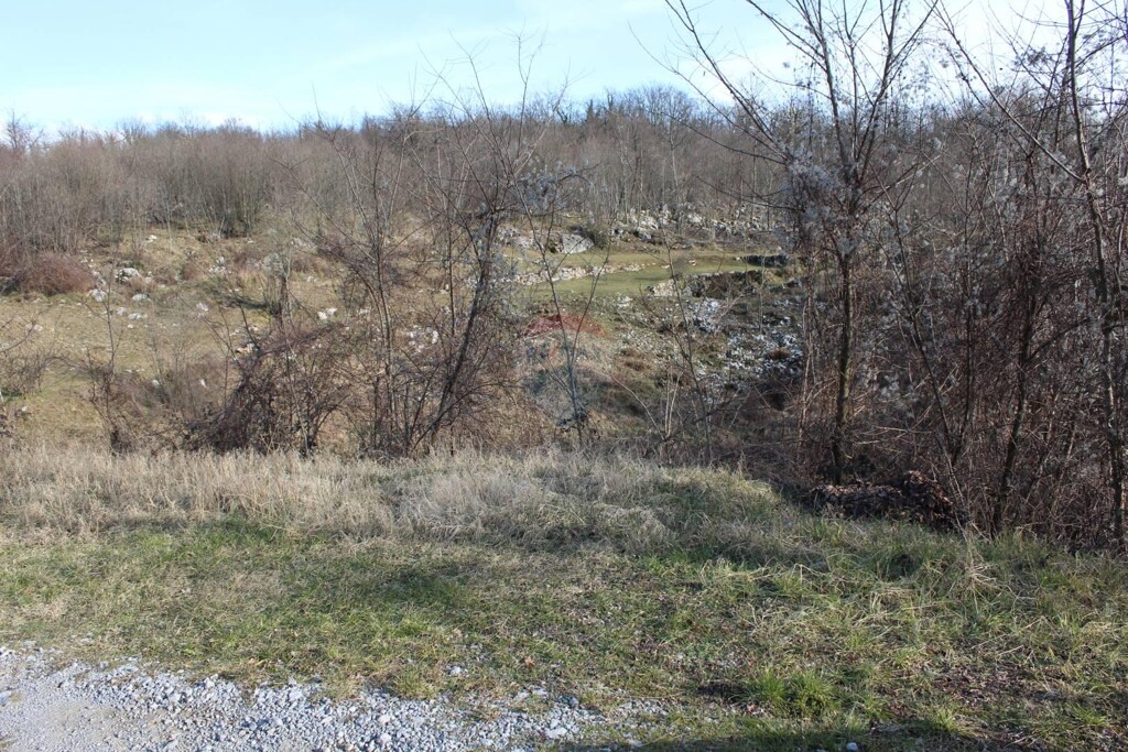 Image 5409747 - 6