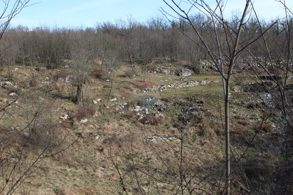Image 5409747 - 3