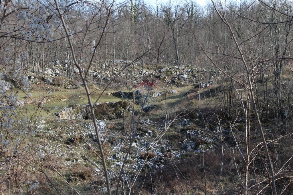 Image 5409747 - 5