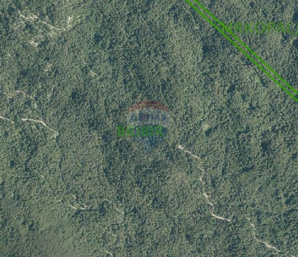 Image 5409750 - 1