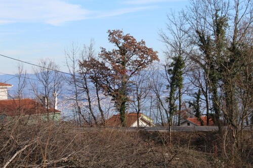 OPATIJA - VEPRINAC - 4107 m2 GRAĐEVINSKOG ZEMLJIŠTA
