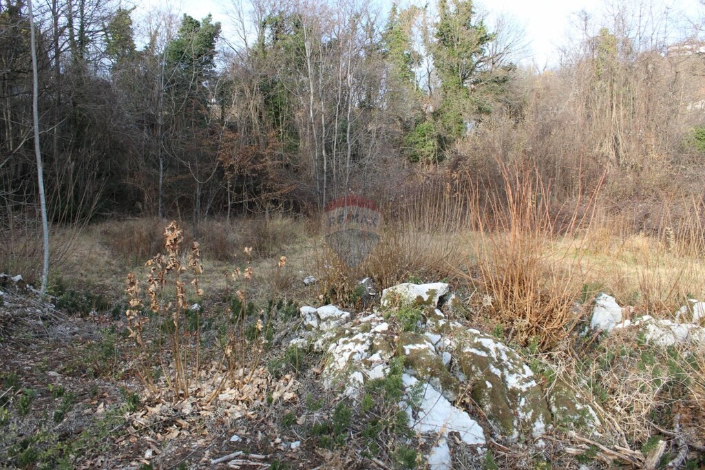 Image 5409753 - 4